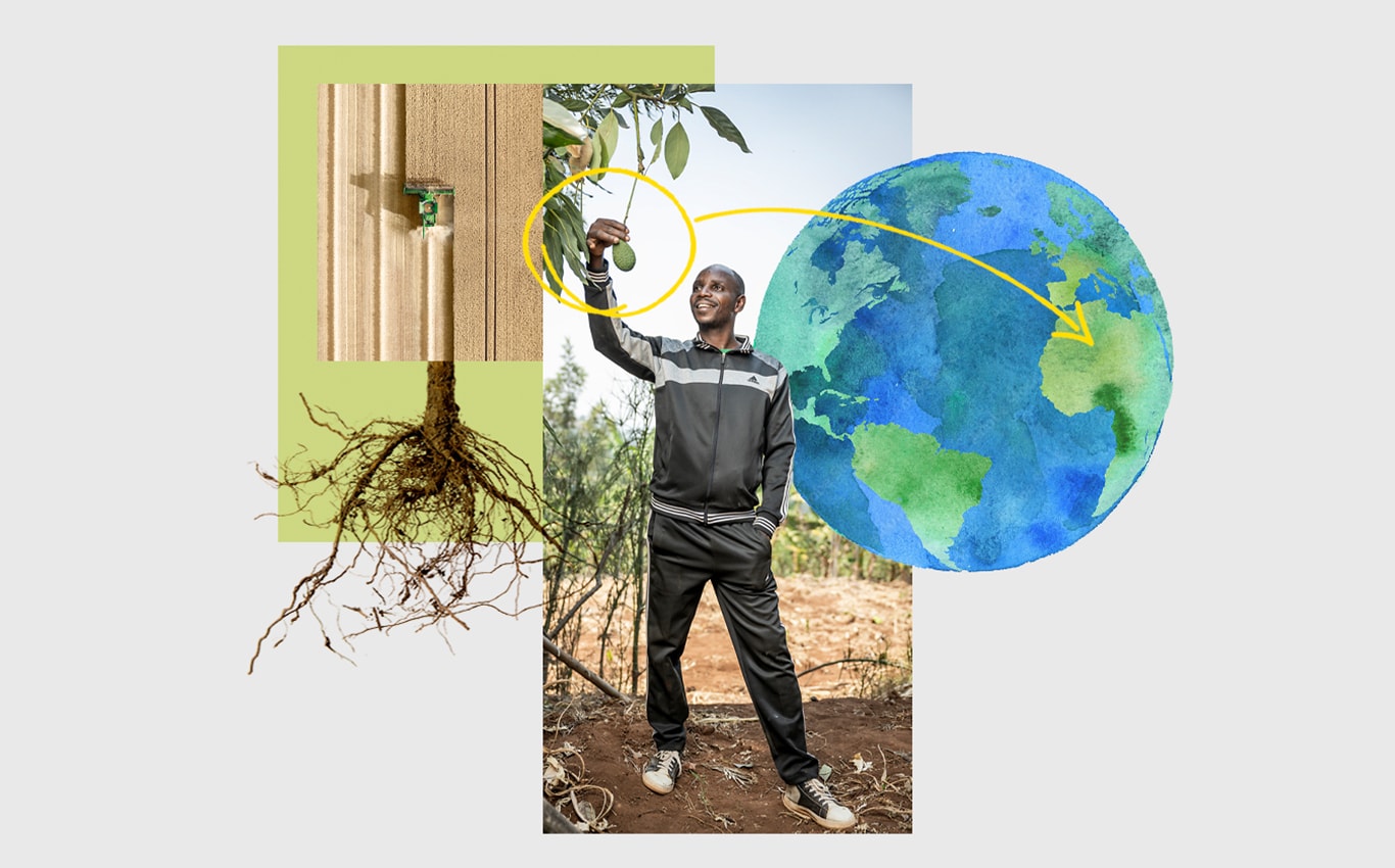 Pohľad zhora na kombajn John Deere na poli, človek, ktorý trhá zo stromu avokádo, a ilustrácia Zeme so šípkou nasmerovanou na Afriku.